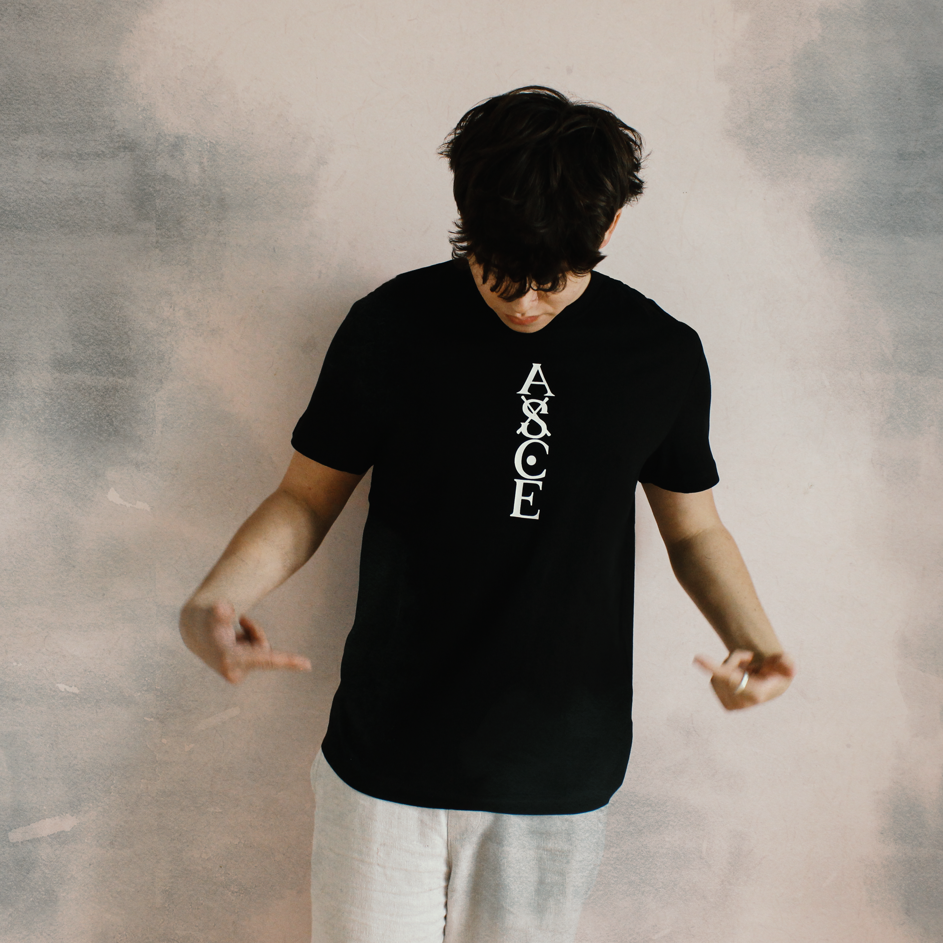 T-Shirt Regular One Piece™ [Ace Whitebeard] · Noir · Fournisseur B2B PROJO PRO